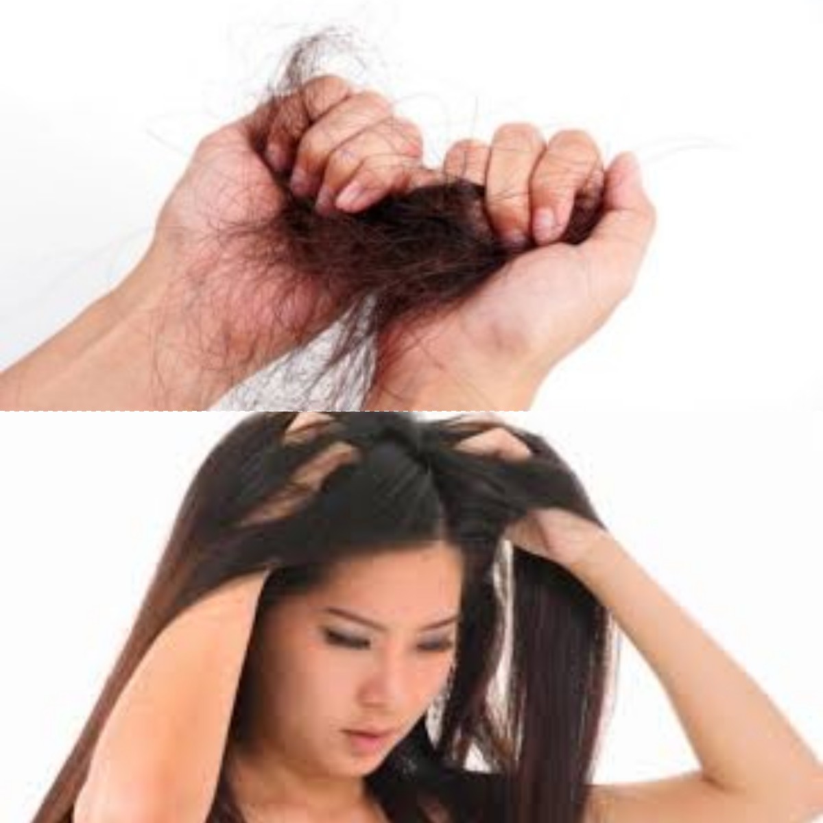  Kerontokan Akibat Menopause Tantangan yang Kerap Dianggap Normal Padahal Bisa Diatasi