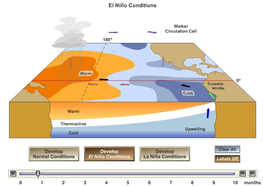 Wow! Ternyata Begini Proses Terjadinya Fenomena El Nino, Lalu Bagaimana Dampaknya?