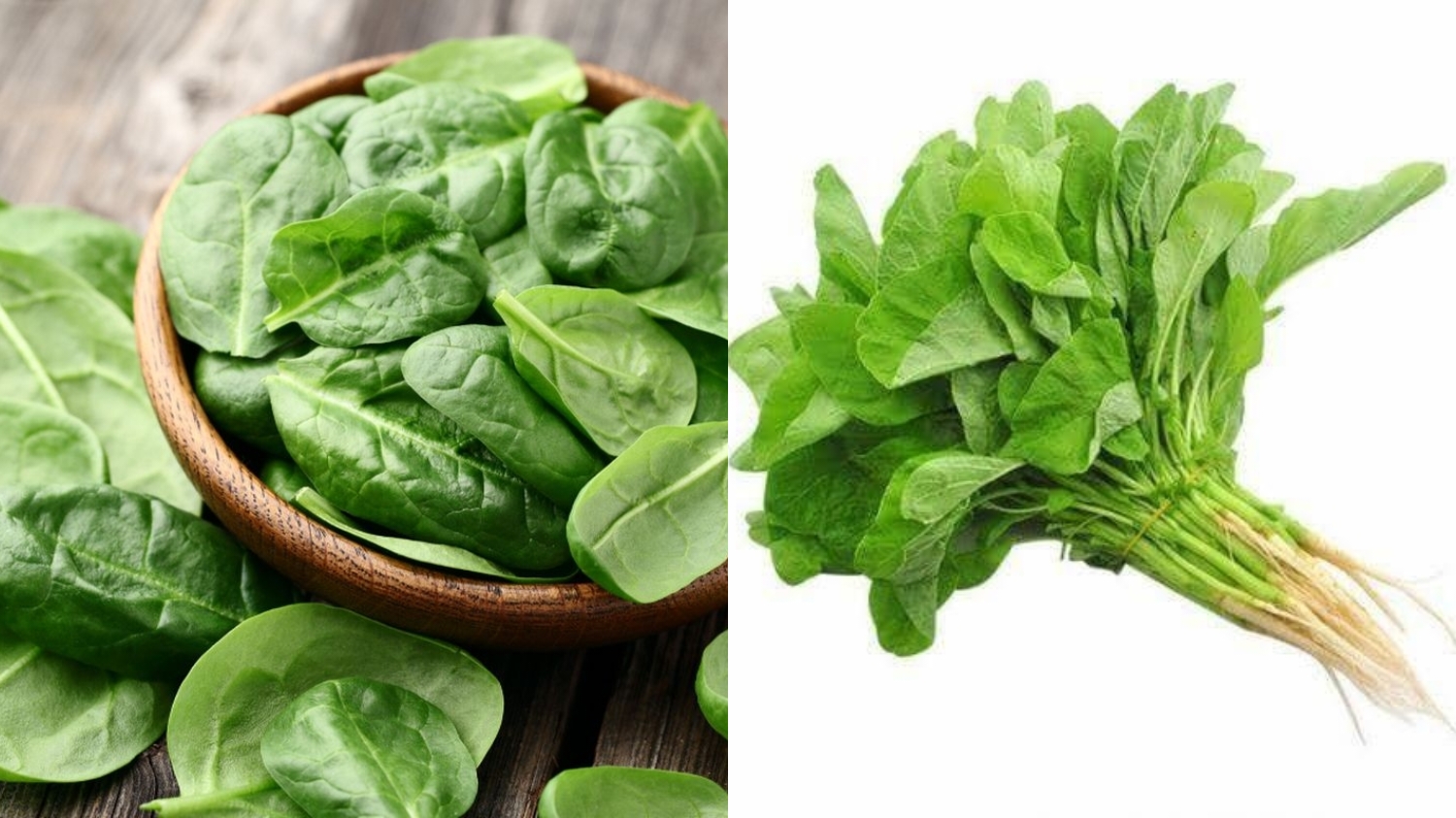 Manfaat Sayur Bayam Bagi Kesehatan Tubuh: Dari Mencegah Anemia Dan Pencernaan