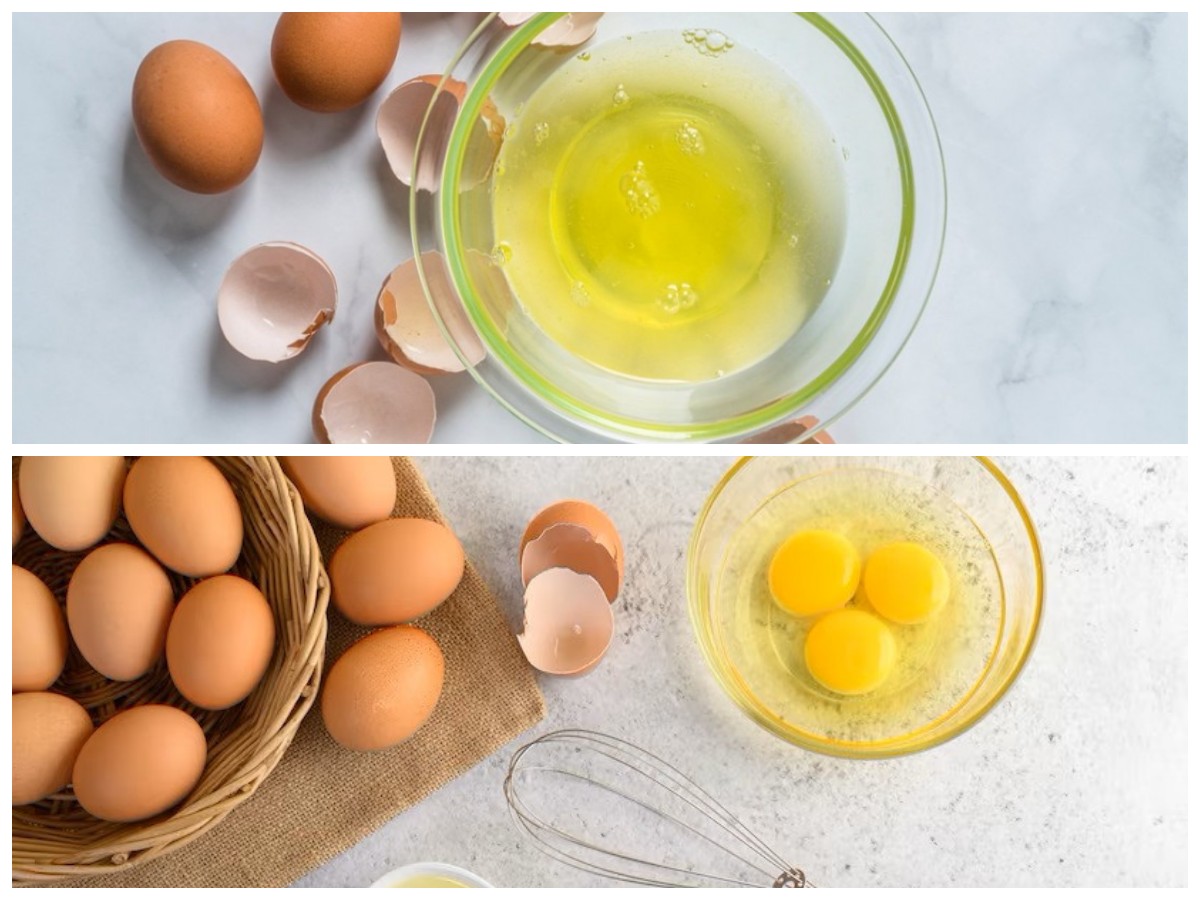 Rahasia Sehat dari Putih Telur Ayam: Sumber Nutrisi Praktis untuk Menjaga Kebugaran