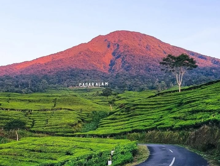 Liburan Nataru di Pagar Alam, Muncak di Gunung Dempo Pavorit Pendaki