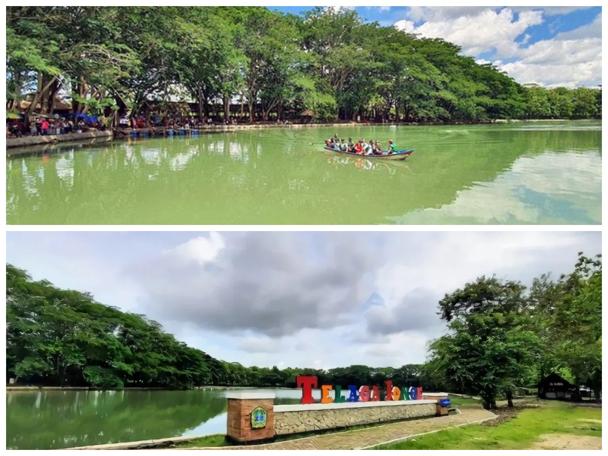 Menyikapi Sejarah Telaga Jonge: Permata Alam di Jantung Gunungkidul!