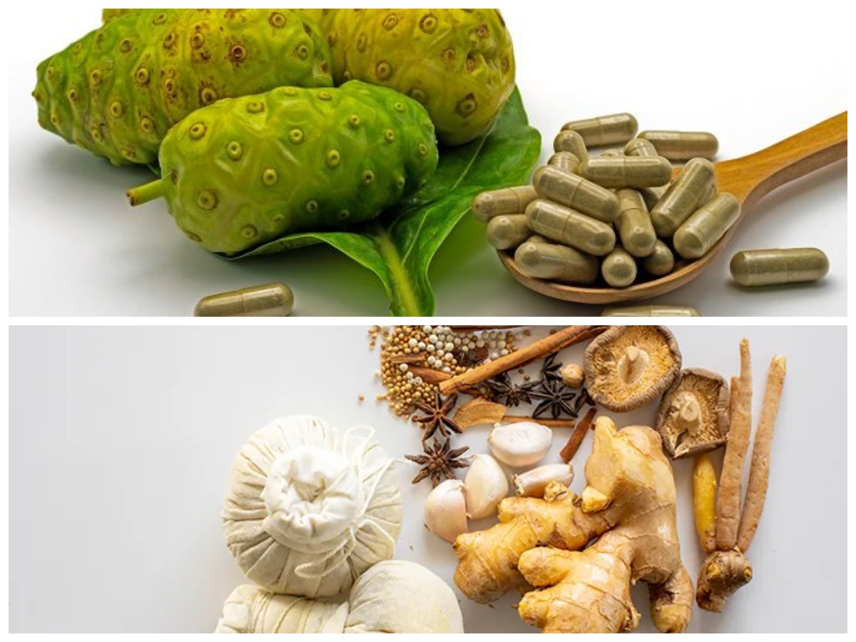 5 Obat Herbal Efektif untuk Menurunkan Kolesterol Tinggi Secara Alami