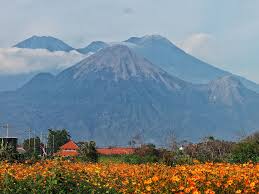 Bikin Bulu Kuduk Merinding, Ini Kisah Mistis Pasar Setan Gunung Arjuno