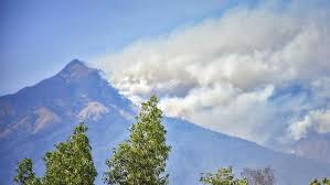 Sulit Ditemukan, 4 Hewan Ini Hanya Bisa Dijumpai Di Gunung Rinjani