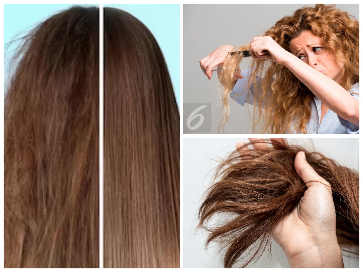 Suka Ganti-ganti Warna Rambut?,Rambut Jadi Rusak! 5 Tips/Langkah Memperbaiki Rambut Rusak