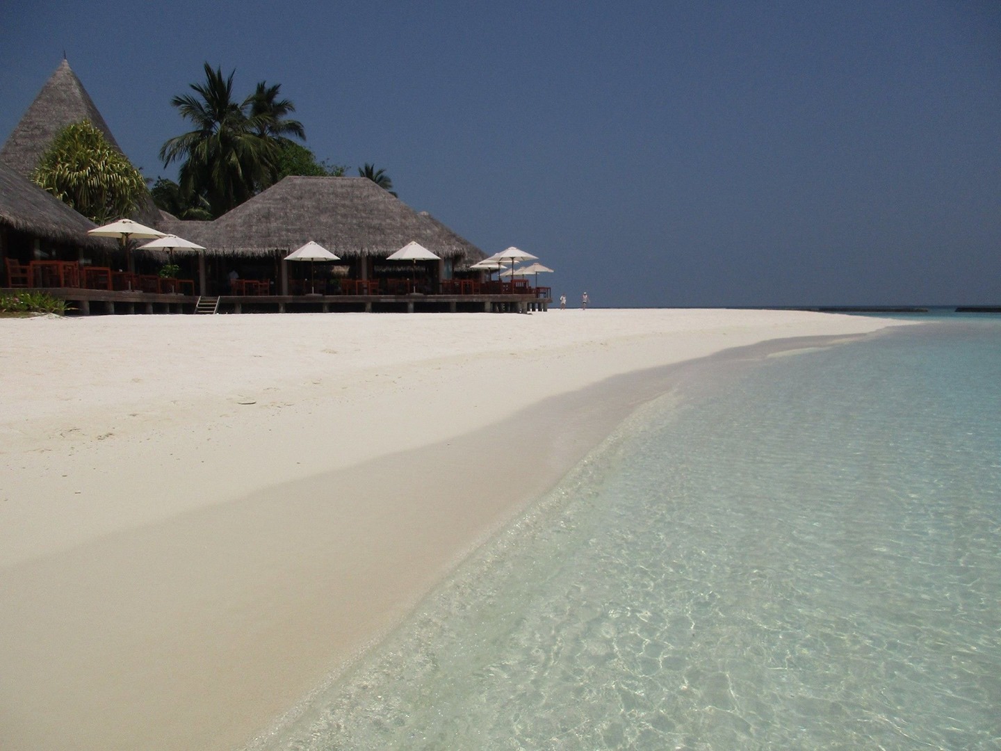 Indonesia Juga Punya, Viral Pantai Maldives Seperti Maladewa, Ke Lamongan Liburanya Wajib Kesini