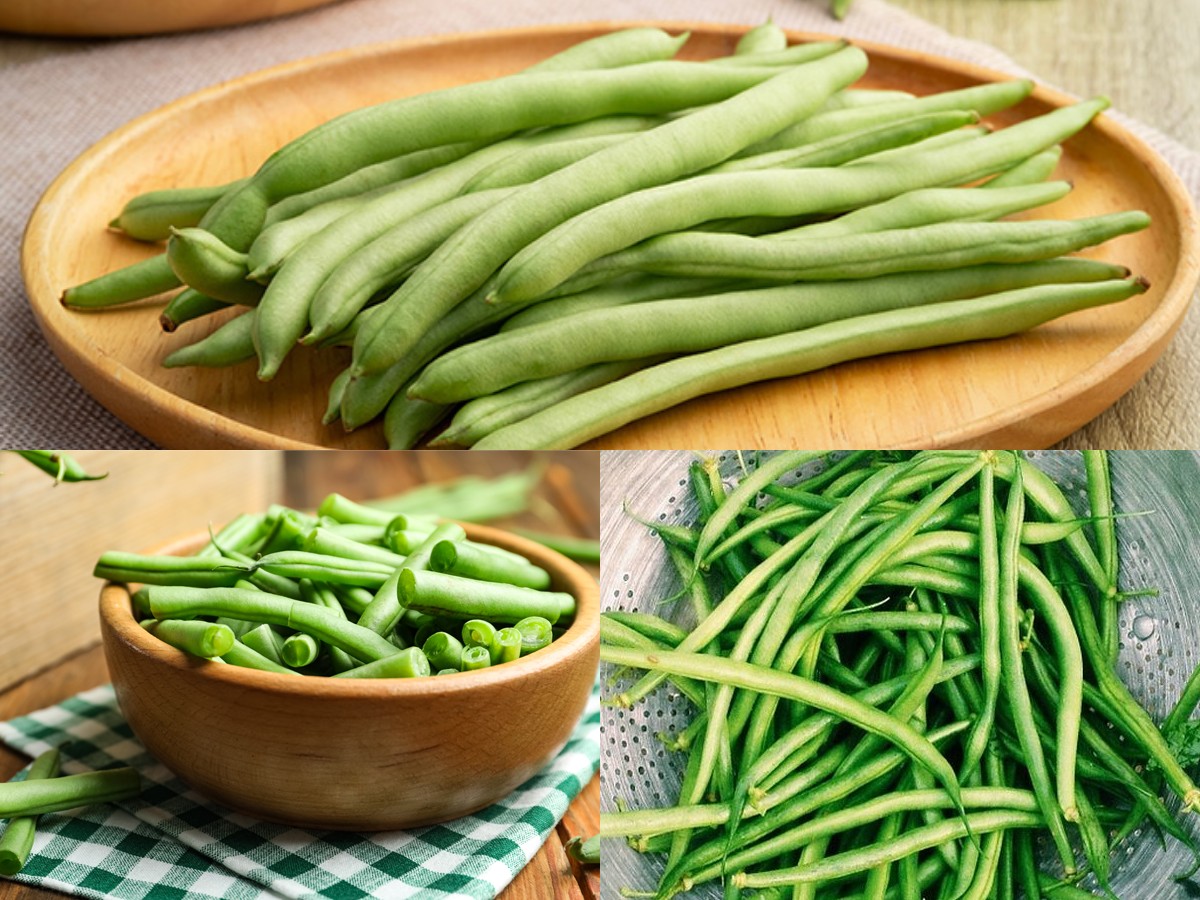Manfaat Buncis untuk Kesehatan sudah tak perlu Diragukan lagi, Inilah Sejumlah Manfaatnya!