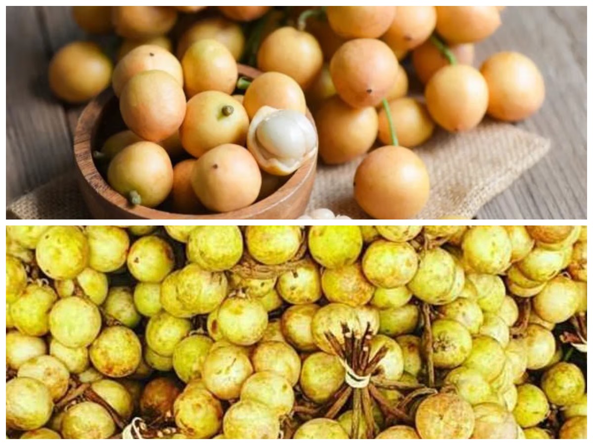 Buah Rambai, Si Kecil Kaya Khasiat! Ini Manfaatnya untuk Kesehatan Tubuh