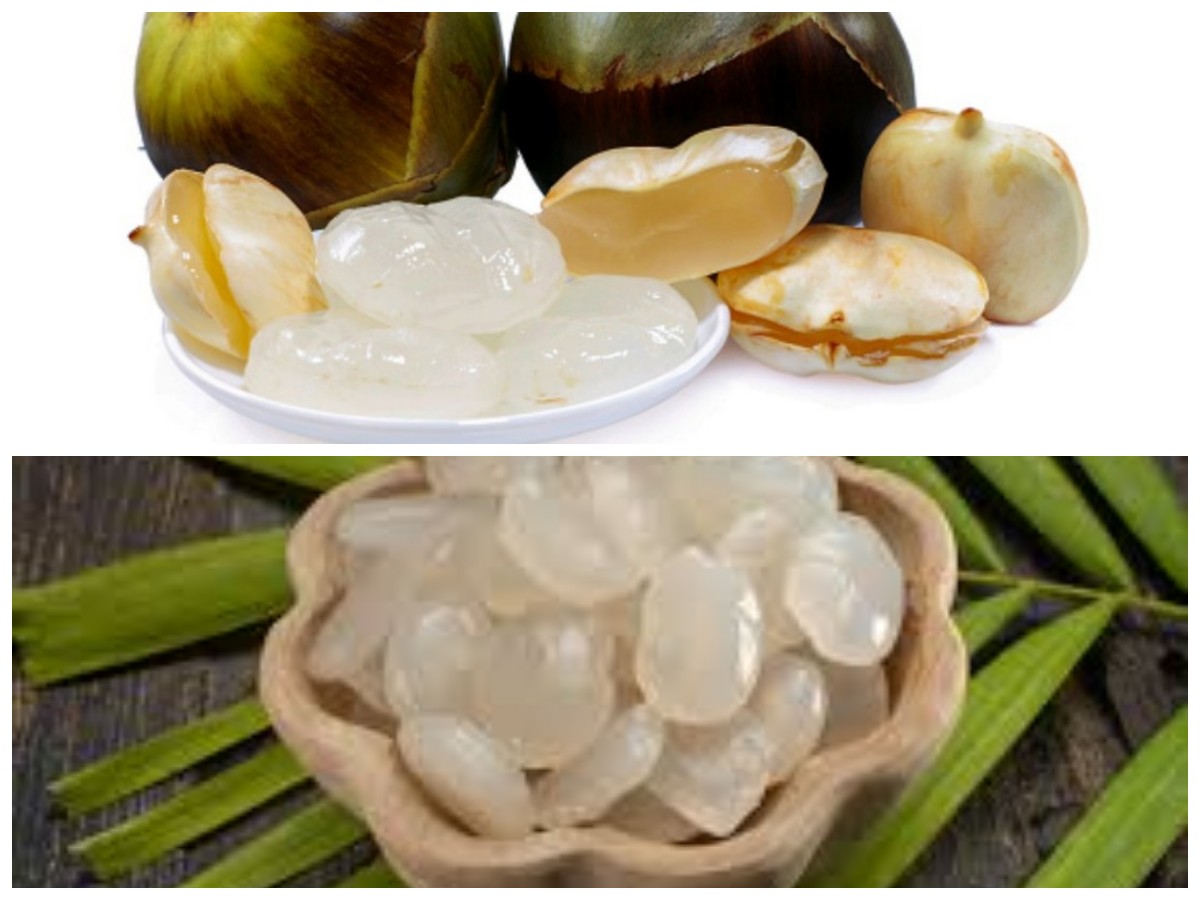 10 Khasiat Kolang Kaling yang Baik untuk Kesehatan dan Daya Tahan Tubuh