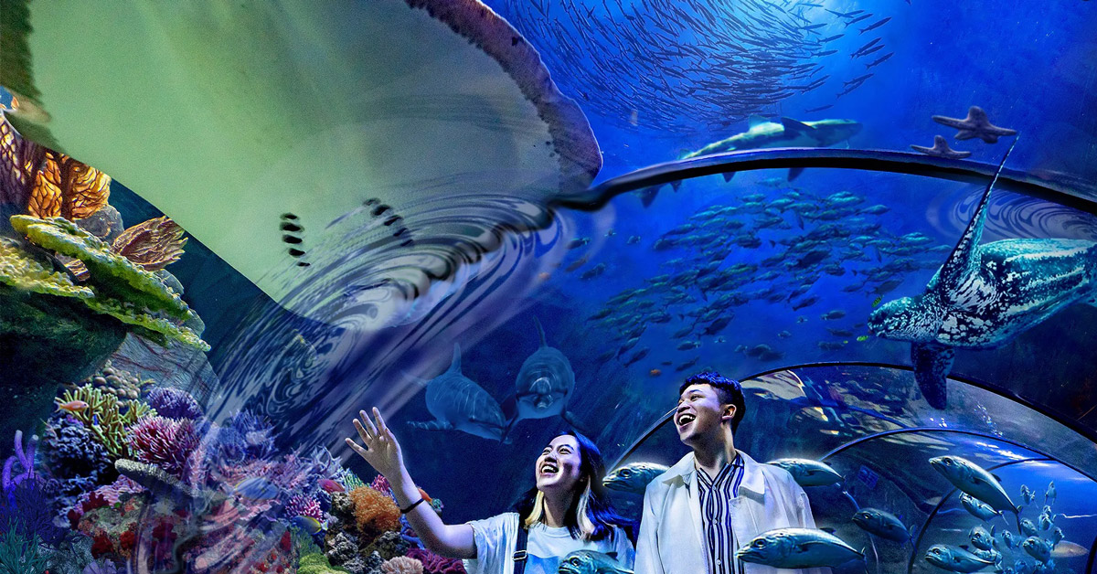 Wisata Aquarium Raksasa yang Bikin Kamu Takjub!