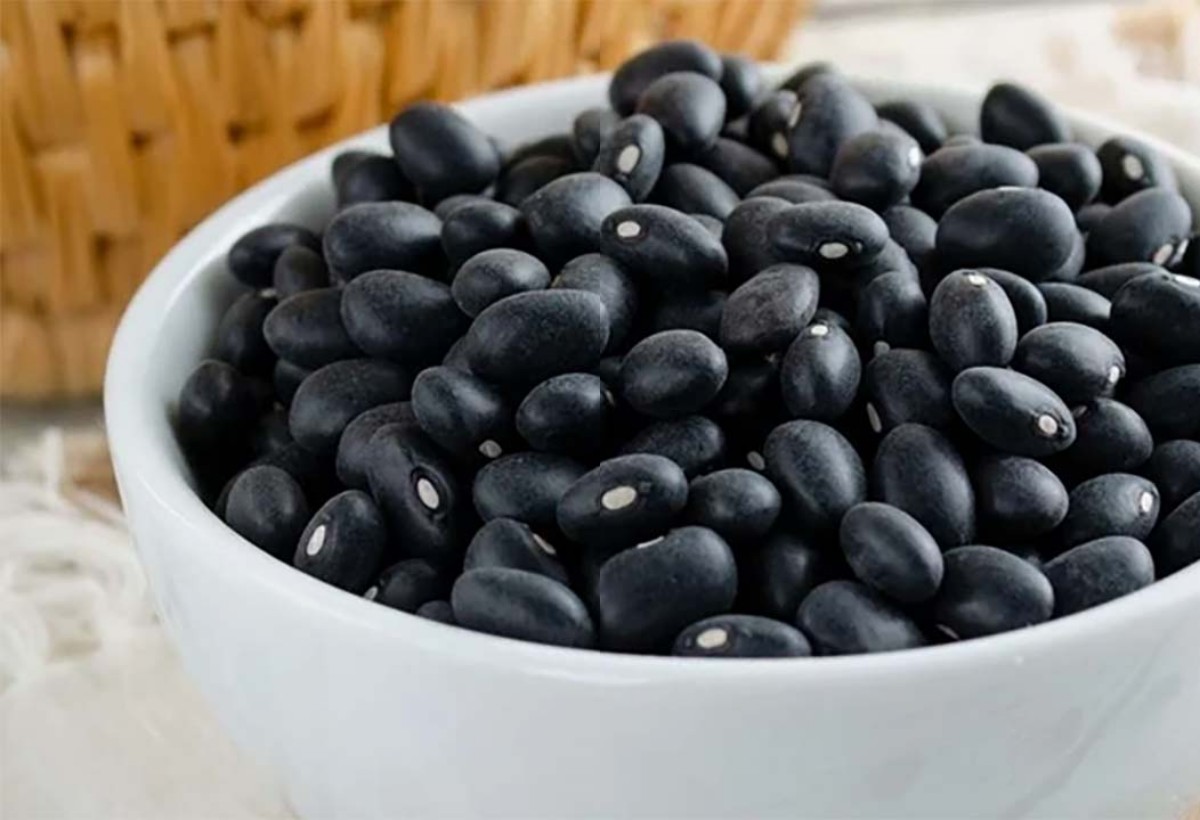 Ingin Sehat dan Bugar? Coba Kacang Hitam, Siapa Tahu Anda Akan Terkejut dengan Manfaatnya!