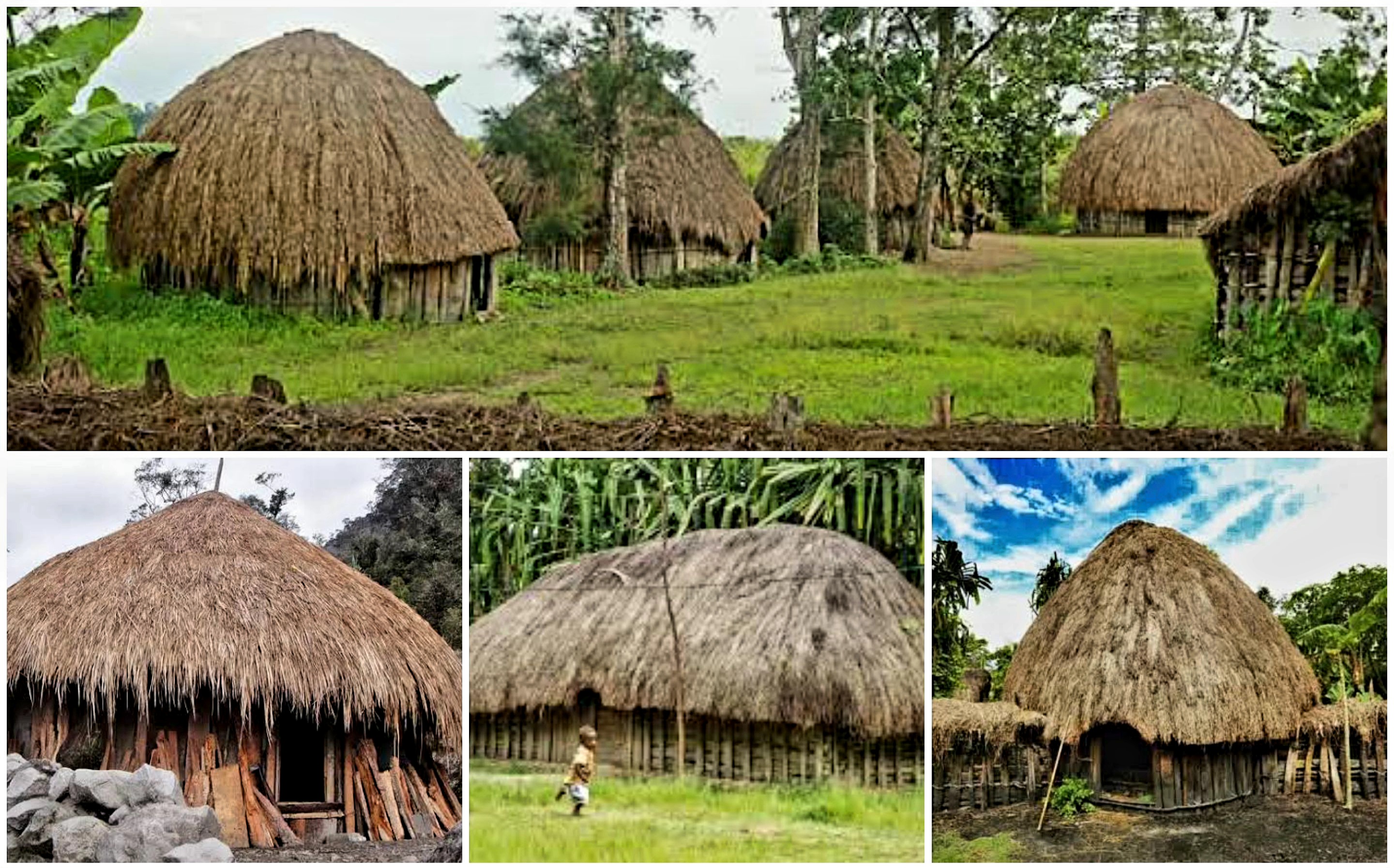 Tempat Tinggal Khas Suku Adat Papua. Rumah Hanoi Identitas serta Kearifan Lokal