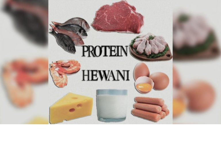 Benarkah Konsumsi Protein Hewani Efektif Cegah Stunting?Ini Penjelasnnya