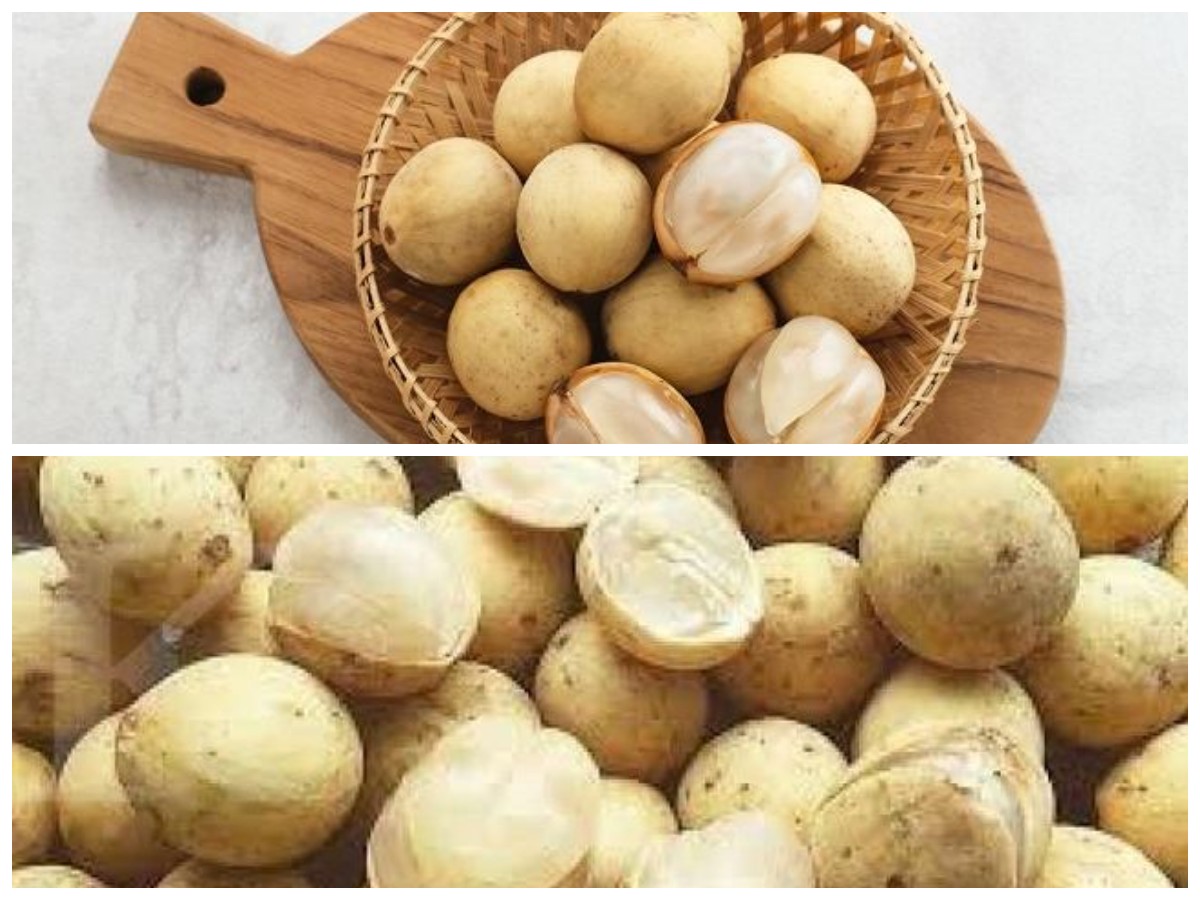 Duku, Buah Tropis Penuh Nutrisi: Inilah Ragam Manfaatnya bagi Kesehatan