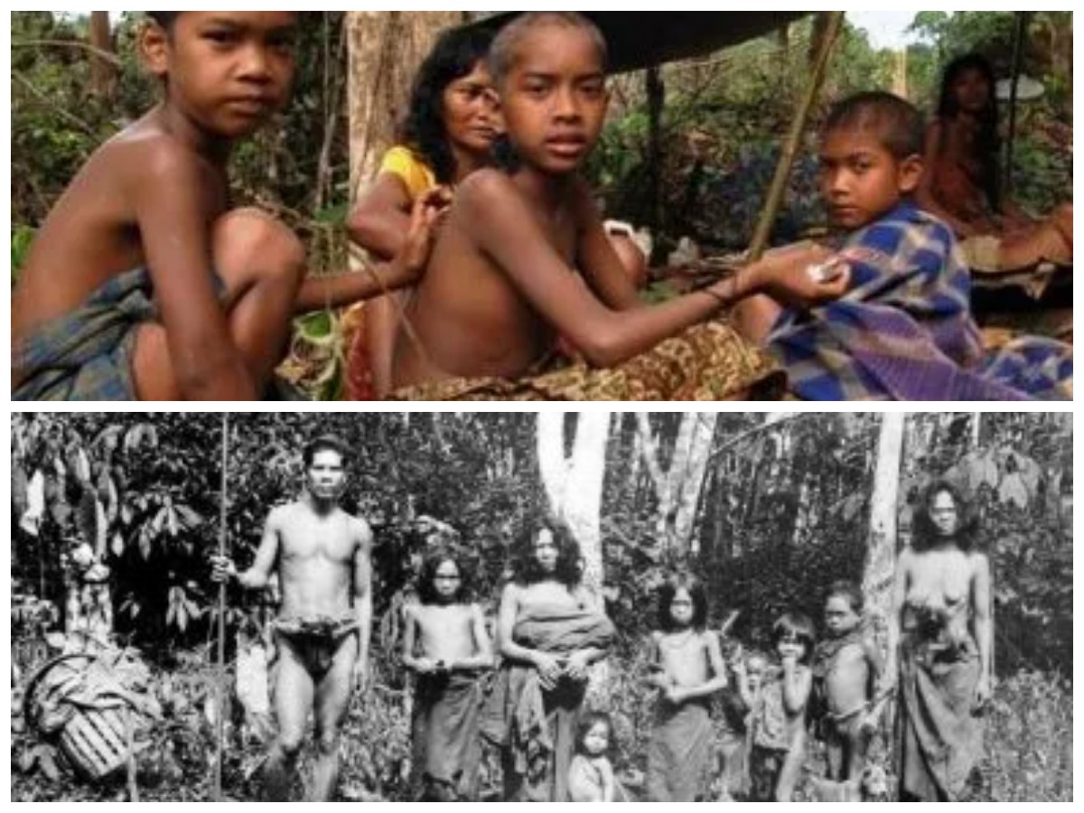 Suku Sakai: Warisan Leluhur yang Bertahan di Tengah Arus Perubahan Zaman