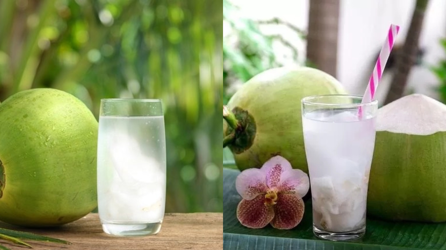 Manfaat Air Kelapa Muda Efektif Mampu Menurunkan Berat Badan Simak Penjelasannya! 