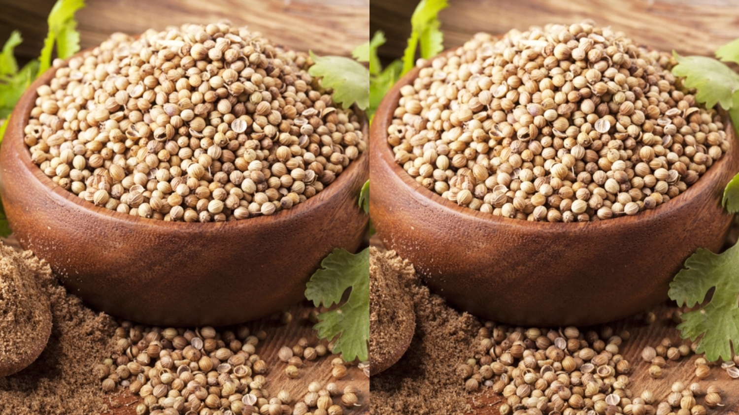 Meningkatkan Sistem Imun Teryata Ini Guys Manfaat Ketumbar Untuk Kesehatan Yang Luar Biasa! 