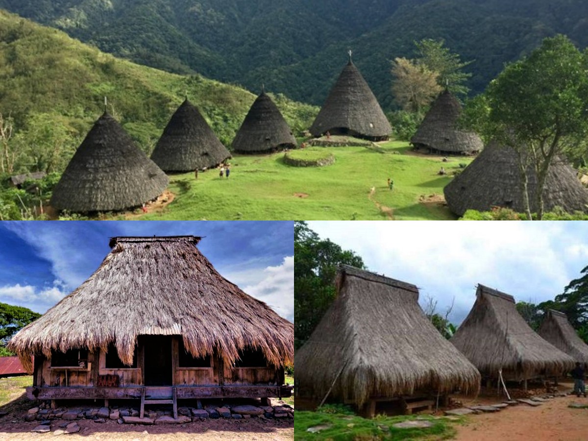 Menjelajahi Jejak Sejarah Rumah Adat Musalaki: Mempunyai Keunikan yang Kokoh serta Fungsinya! 