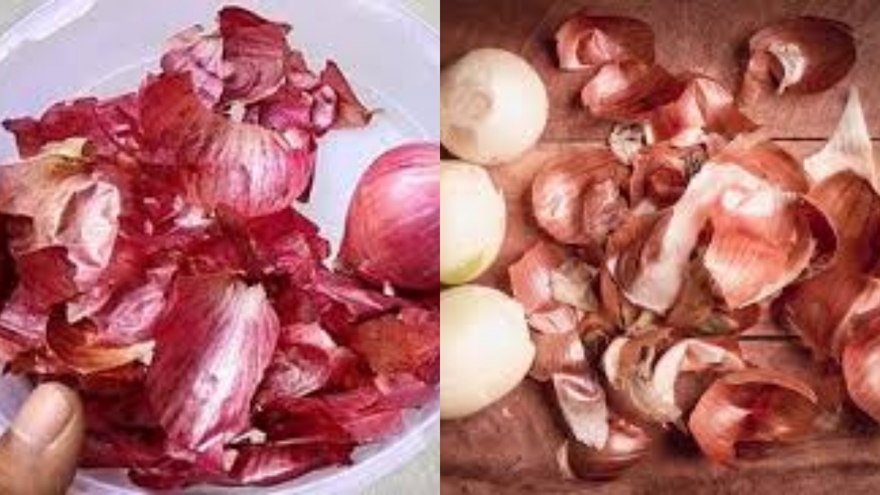 Perlu Kalian Ketahui Inilah 5 Manfaat Kulit Bawang Untuk Kesehatan Tubuh!