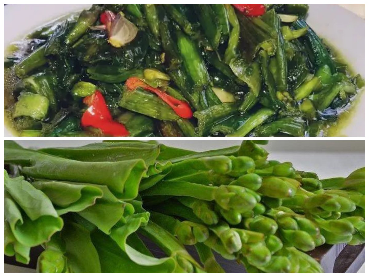 Kaya Nutrisi, Inilah Manfaat Genjer untuk Kesehatan dan Program Diet Alami