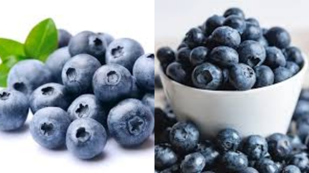 Perlu Kalian Tahu! Inilah Manfaat Buah Blueberry Untuk Kesehatan Yang Luar Biasa