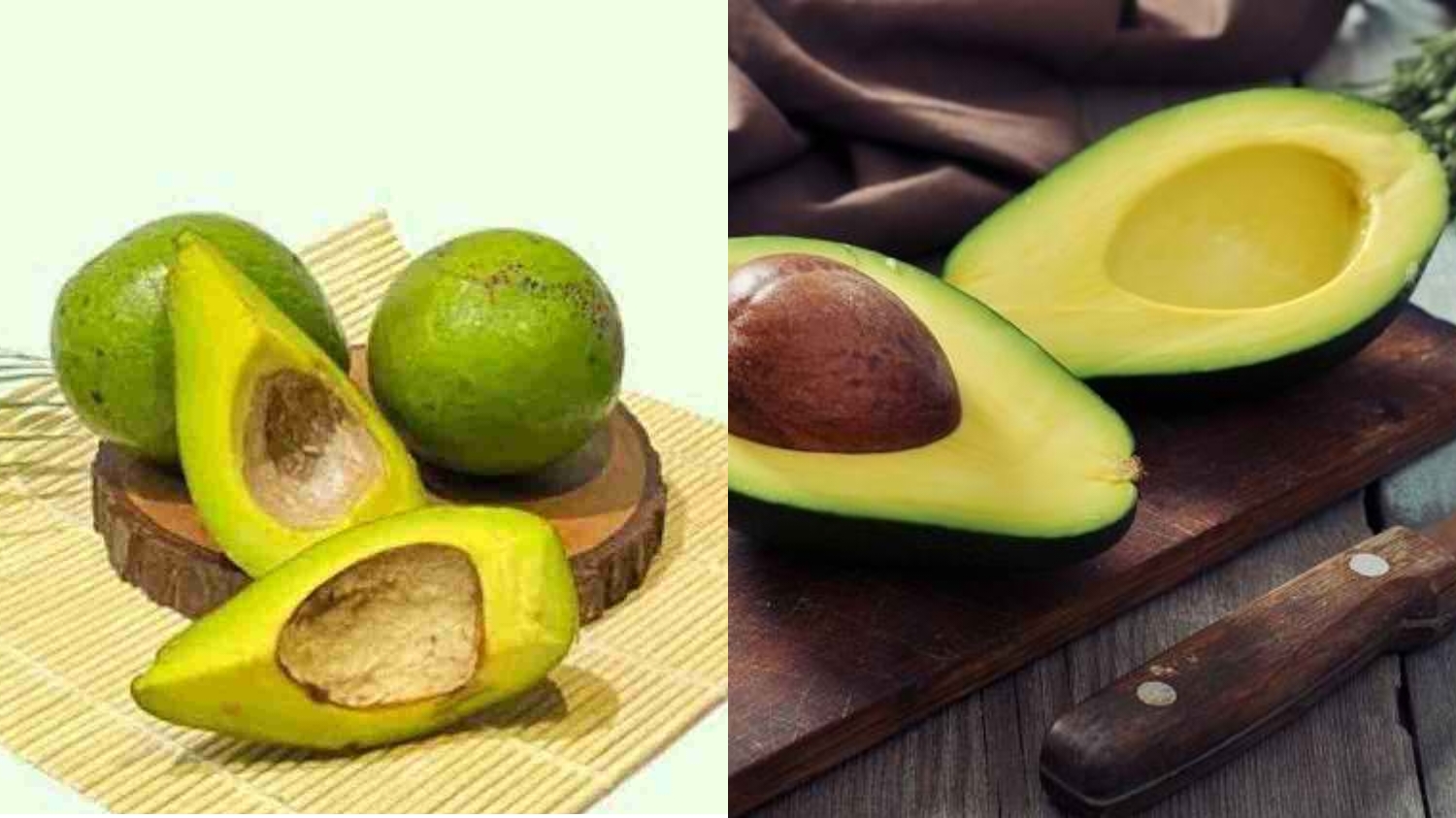 Wajib Coba Inilah Makanan Khas Kampar Dengan Cita Rasa Yang Luar Biasa! 