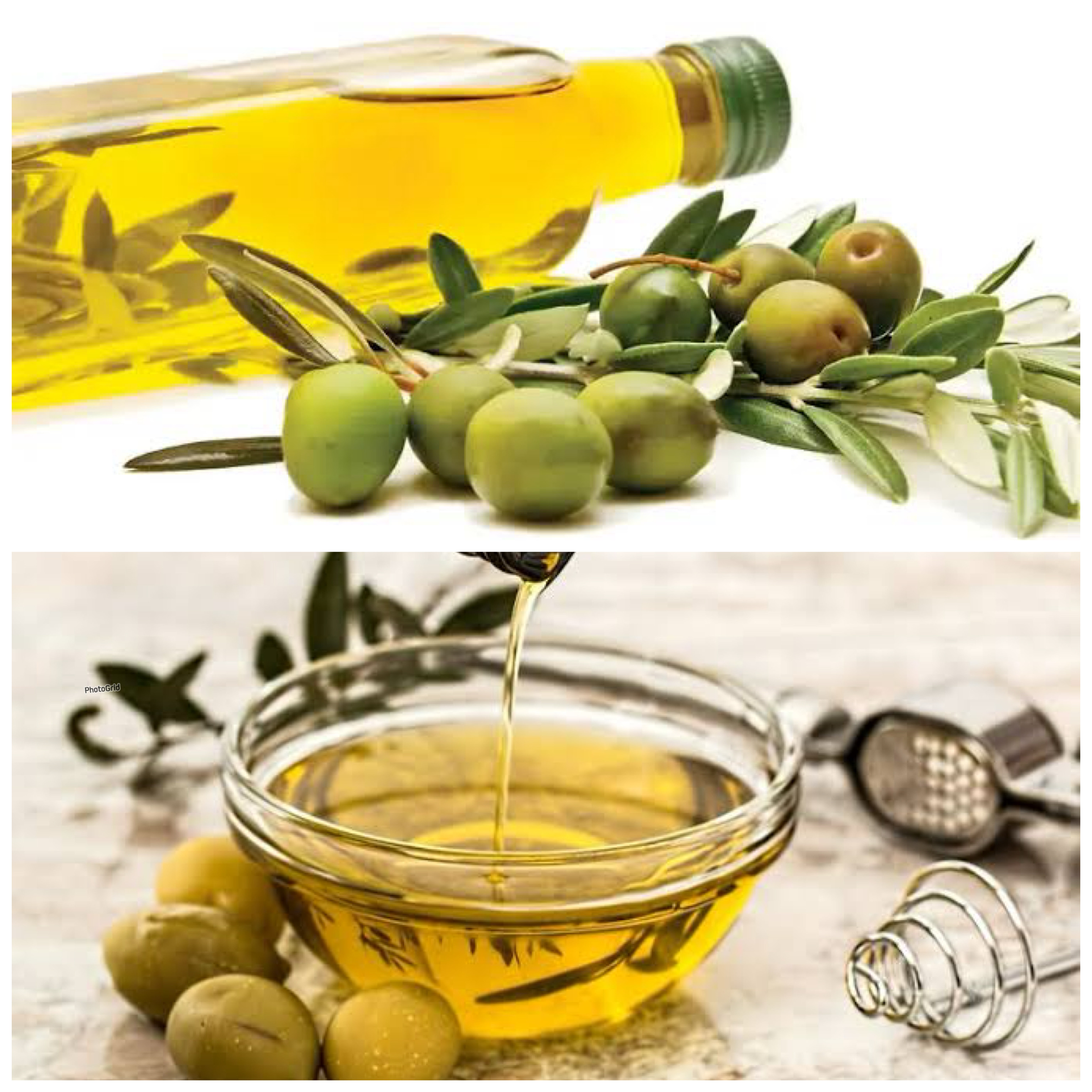 7 Manfaat Buah Zaitun bagi Kesehatan Tubuh: Rahasia Alami untuk Menjaga Vitalitas dan Kesejahteraan!