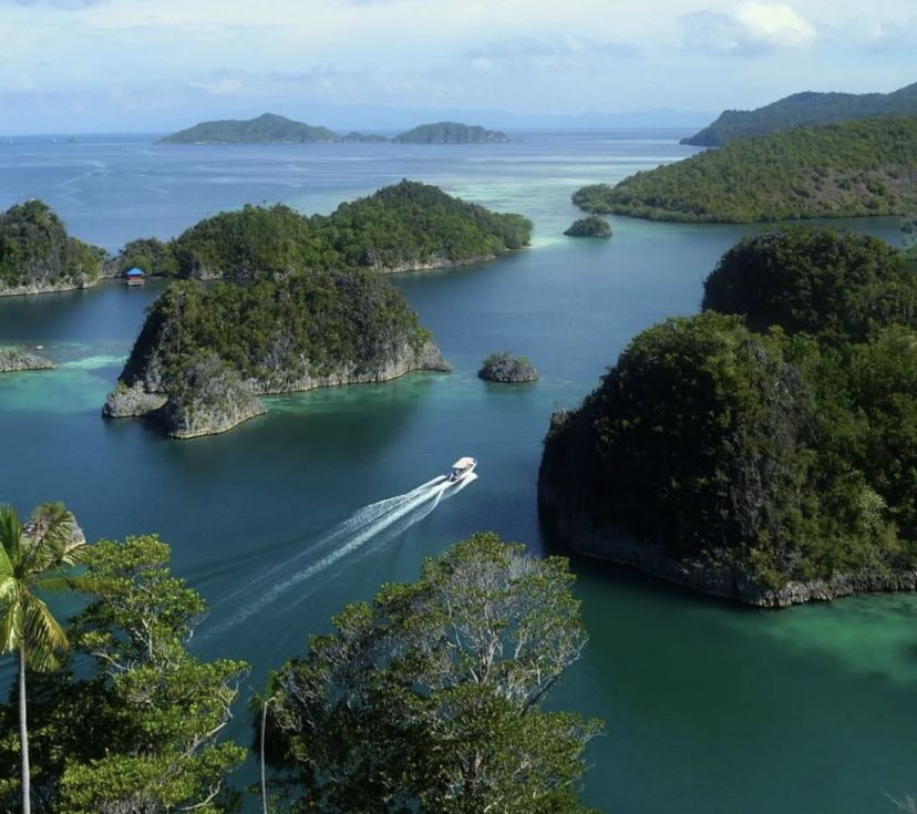 Papua Barat, Surga Tersembunyi Yang Ada di Ujung Timur Indonesia, Ini Selengkapnya!