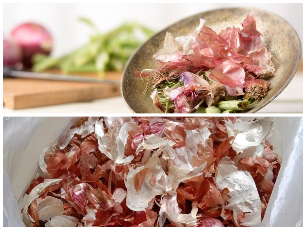 Kulit Bawang Punya Khasiat Luar Biasa, Yuk Simak 5 Manfaatnya untuk Tubuh!