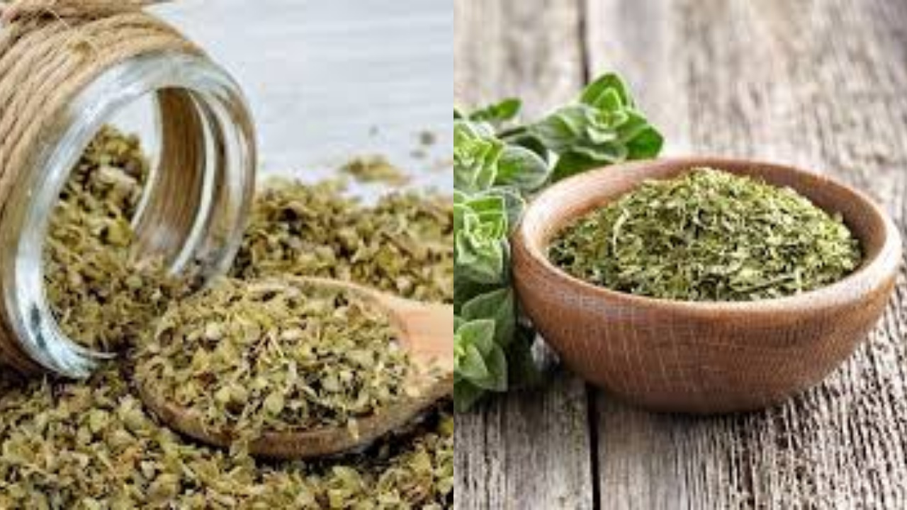 Beragam Manfaat Teh Oregano Untuk Kesehatan Tubuh Yang Luar Biasa!