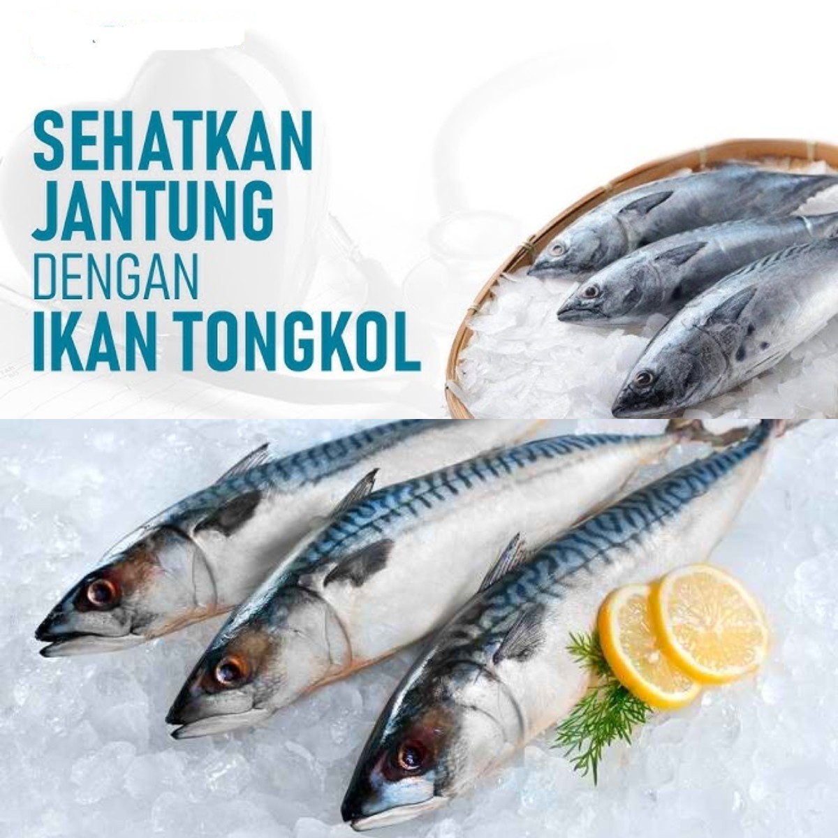 Mau Tahu Kenapa Ikan Tongkol Baik Untuk Kesehatan?! Simak Manfaatnya!