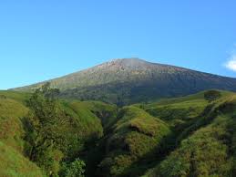 Nyaris Hilang Dari Pradaban! Ini 4 Hewan Langka Di Gunung Rinjani, Ada apa Yah?