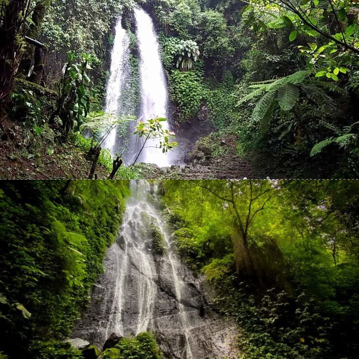 Curug Ngesong, Keindahan Alam yang Menakjubkan di Jantung Jawa
