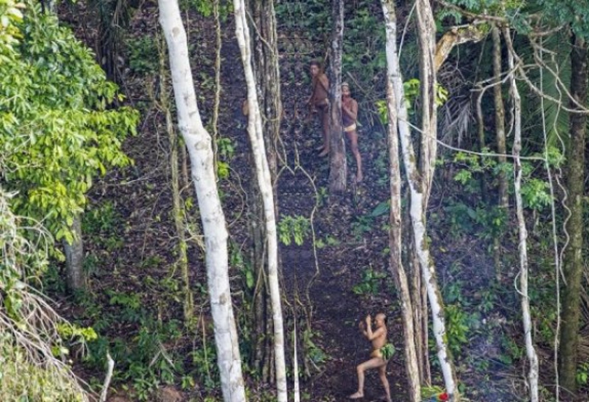 Mengapa Suku Amazon Menjaga Jarak? Penampakan Langka Mereka Membuka Mata Dunia!