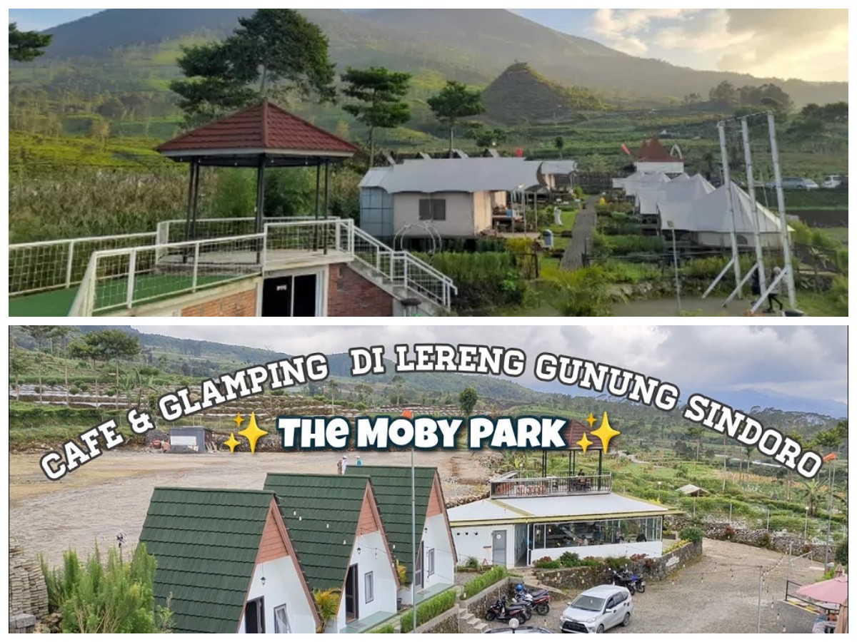 Menikmati Pesona Alam di Glamping The Moby Park, Wisata Seru di Wonosobo