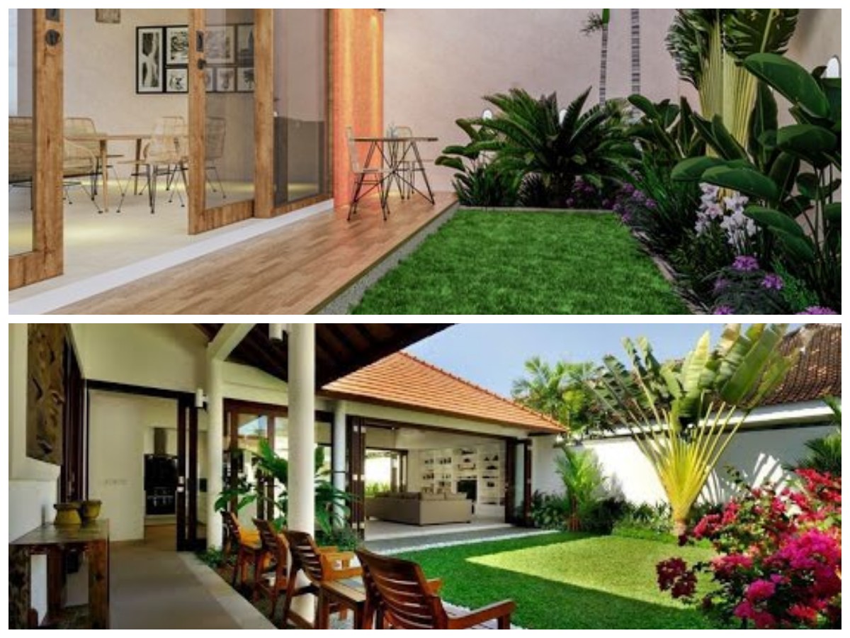 Desain Halaman Belakang Minimalis: Ruang Outdoor Lebih Nyaman, Hijau, dan Menenangkan