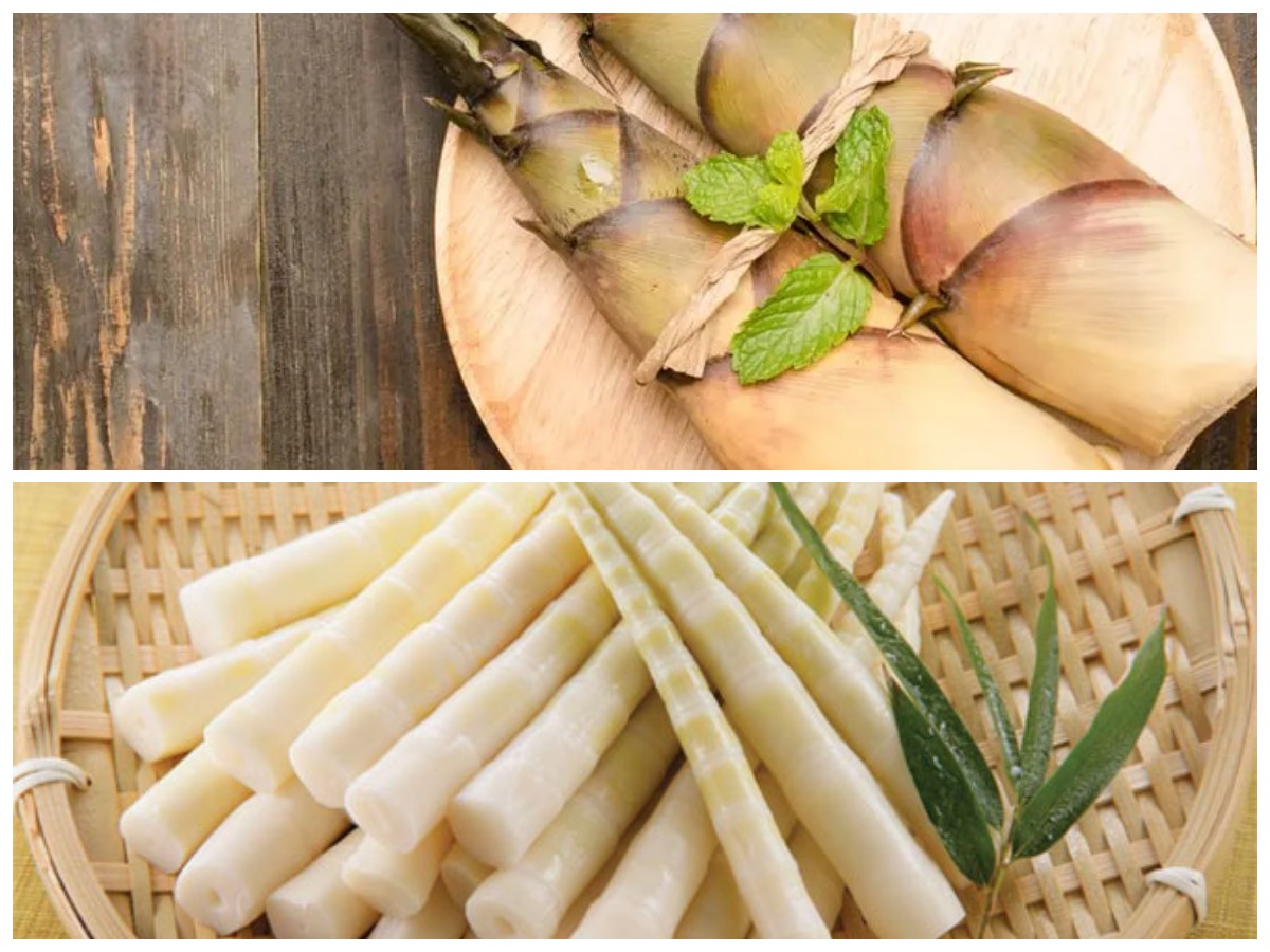Segudang Manfaat Rebung bagi Tubuh, Penuh Vitamin dan Mineral