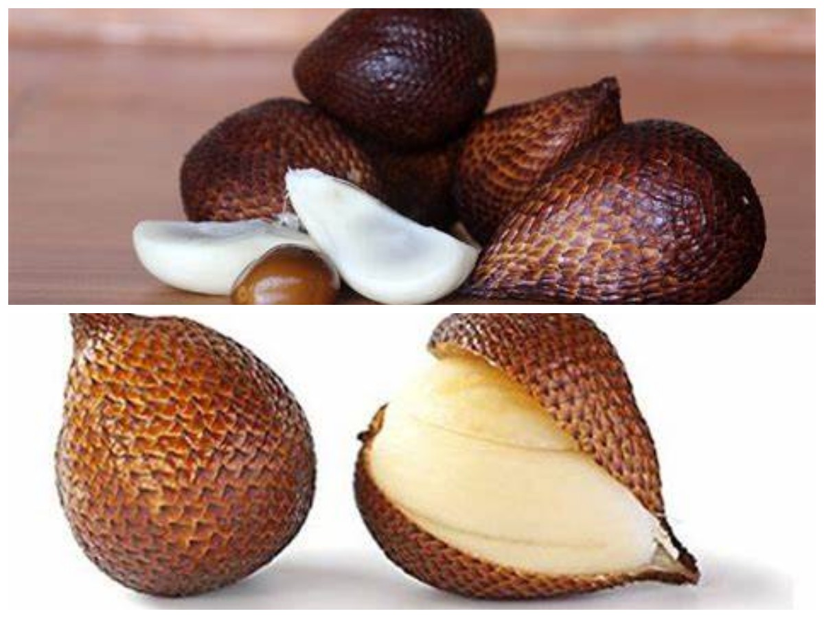 Buah Salak: Meningkatkan Imunitas dengan Khasiat Luar Biasa