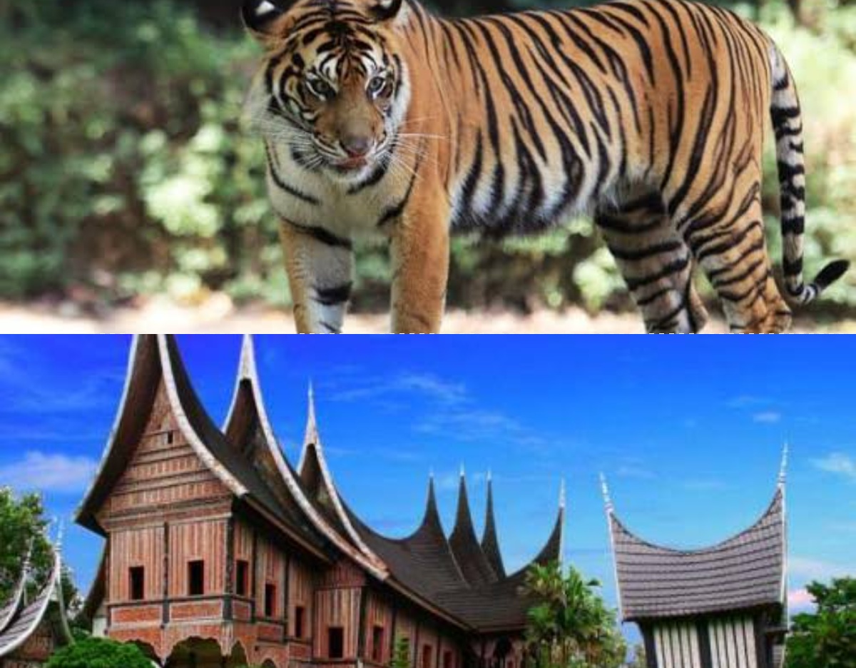 Inyiak Balang: Memahami Penghormatan Masyarakat Minang terhadap Harimau sebagai Legenda Klasik