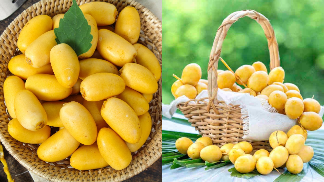 Manfaat Kurma Muda yang Jarang Diketahui, Ternyata Luar Biasa untuk Kesehatan!