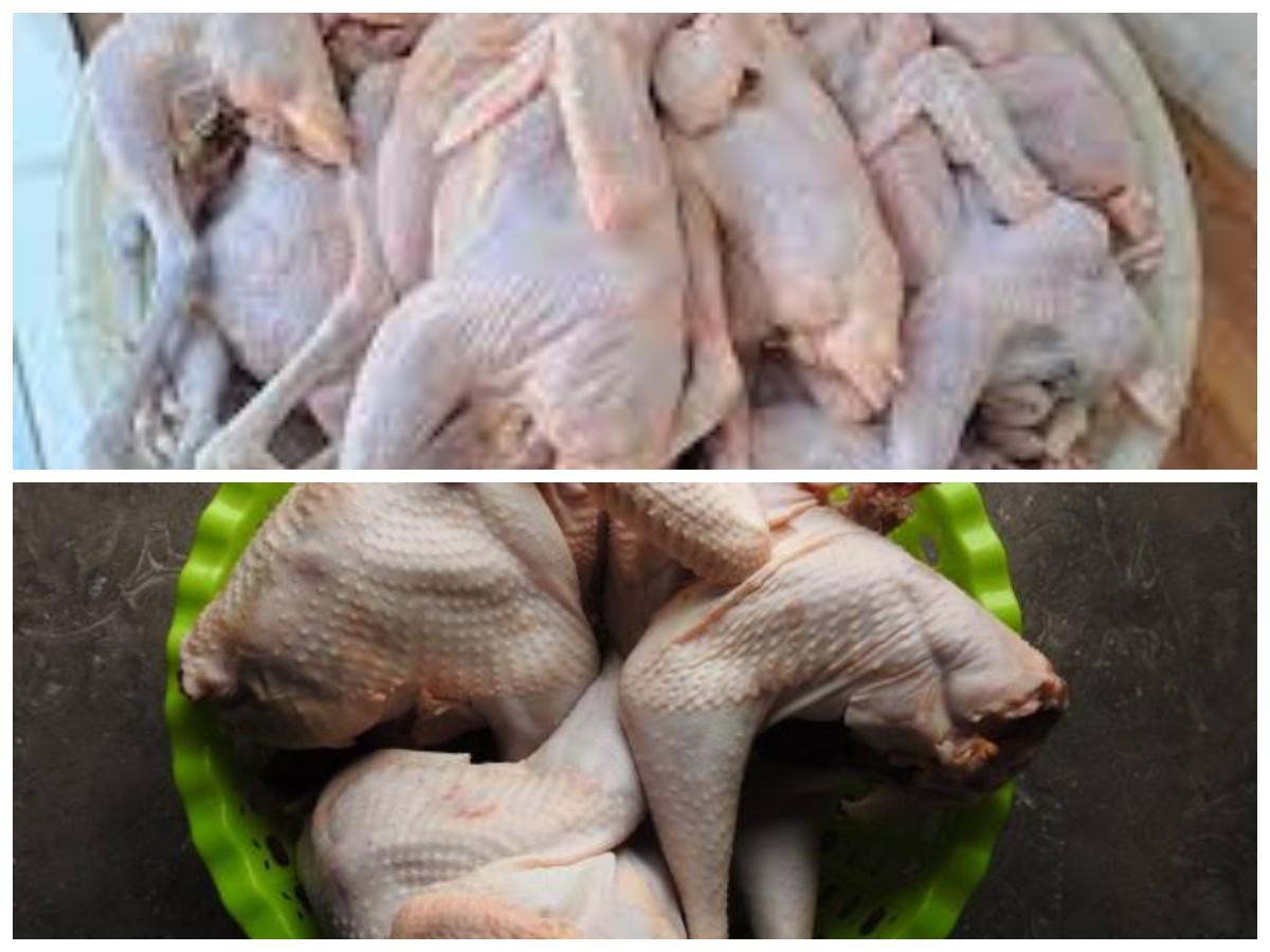 Keunggulan Ayam Kampung bagi Tubuh: Sehat, Bergizi, dan Penuh Protein