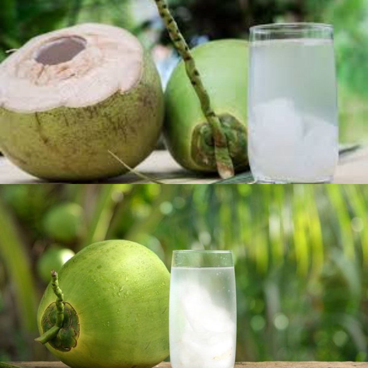 Inilah Keuntungan Air Kelapa Muda untuk Kesehatan!