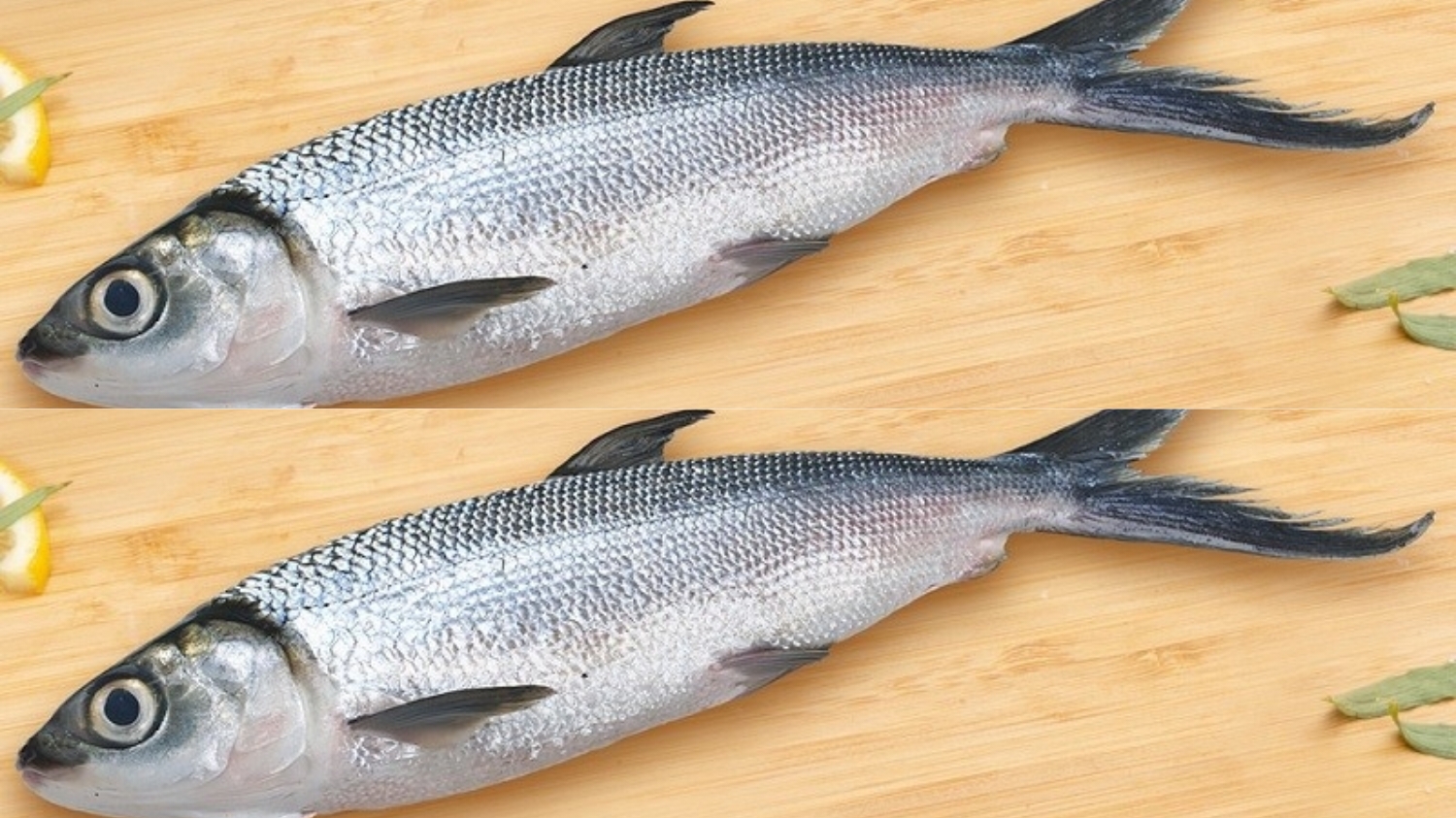 Ketahui Yuk Guys Kandungan Gizi Dan Manfaat Ikan Bandeng Untuk Kesehatan! 