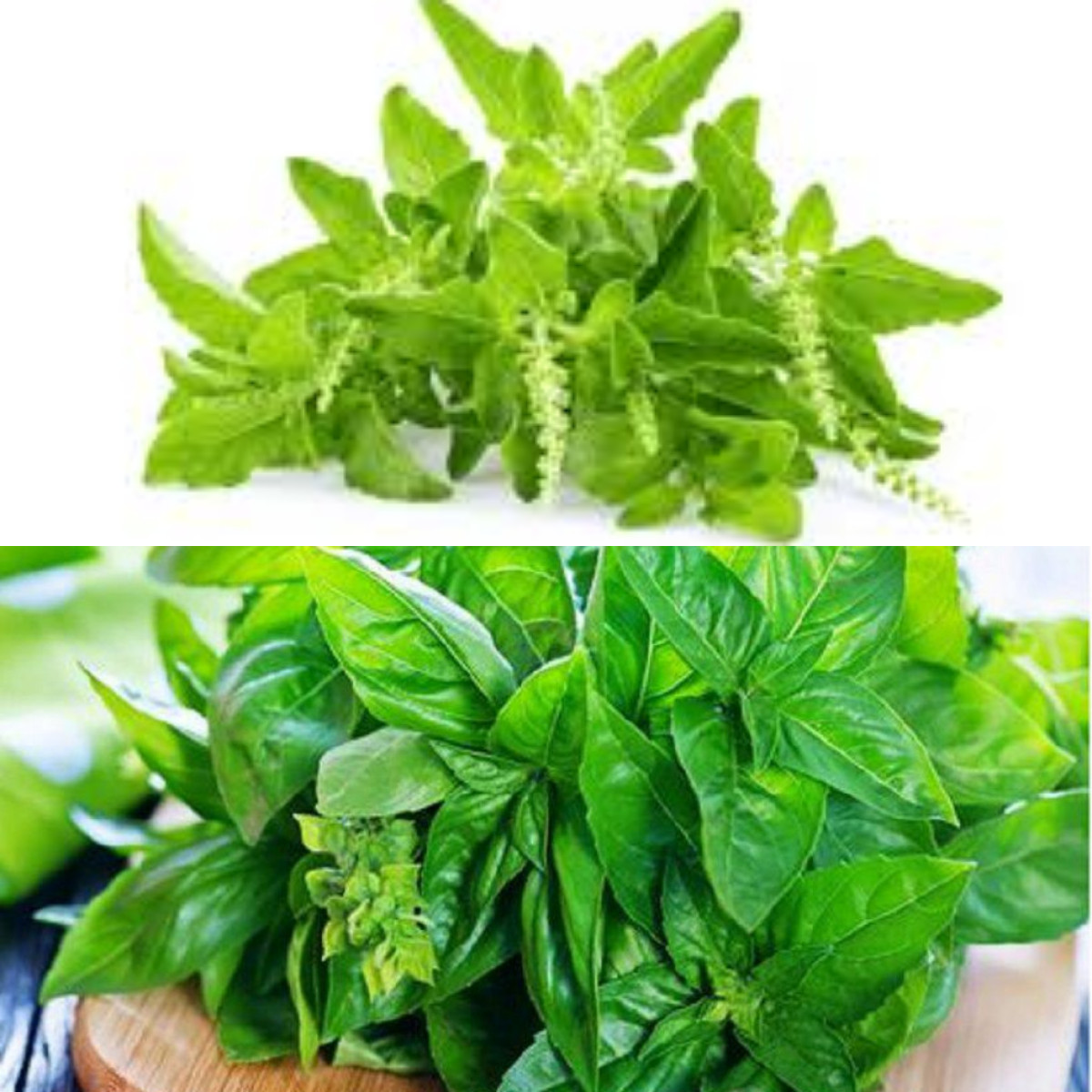 5 Keuntungan Daun Kemangi, Sayur Bergizi yang Tidak Harus Dimasak!