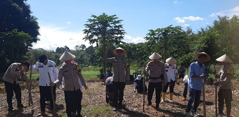 Polsek Pagar Alam Utara Dukung Ketahanan Pangan, Tanam Jagung 1 Hektar Kuartal III tahun 2025