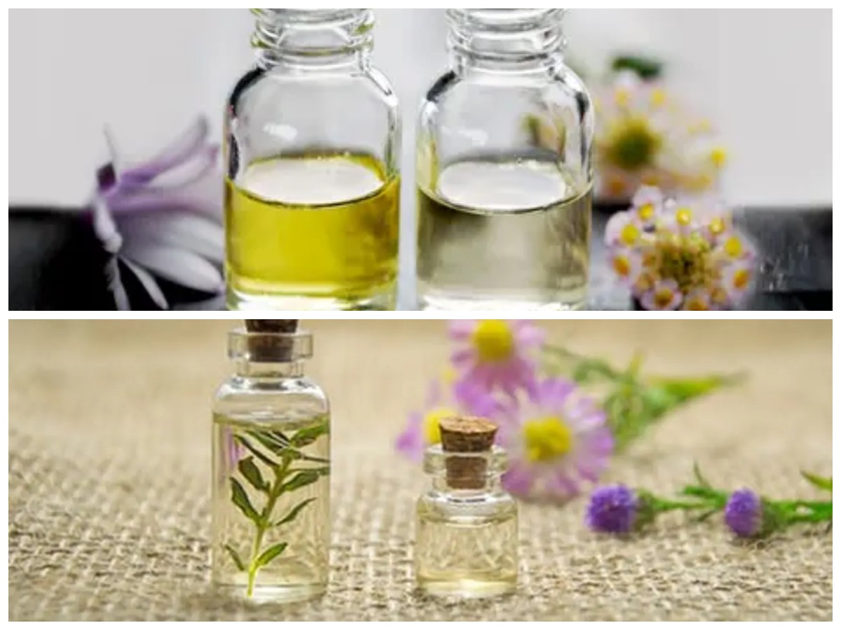 Manfaat Minyak Kayu Putih untuk Kesehatan: Dari Atasi Masuk Angin hingga Redakan Nyeri!