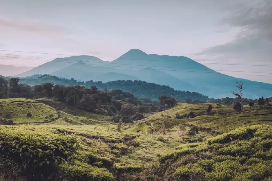 Wajib Tahu! Inilah Tempat Wisata di Cianjur yang Layak Dikunjungi Selain Gunung Padang