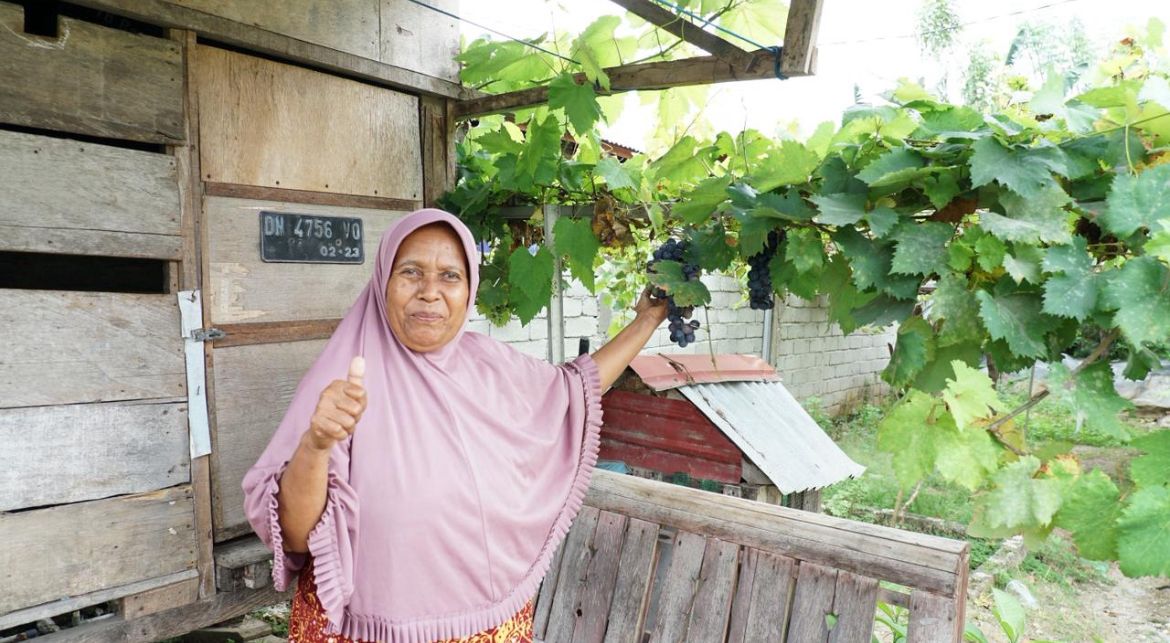 Reforma Agraria Sulap Desa Duyu Jadi Kampung Anggur 