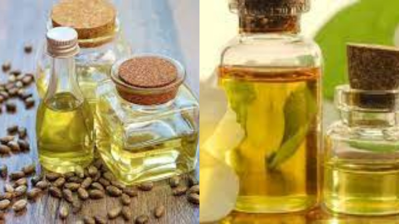  Jarang Diketahui Inilah 5 Manfaat Lemak Nabati Bagi Kesehatan Tubuh Yang Luar Biasa!